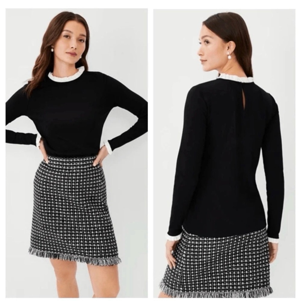 Ann Taylor Classic top with White Ruffle Neckline 🕊️